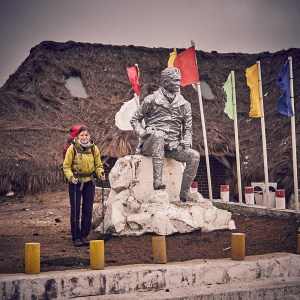 Alexander von Humboldt statue in Chimborazo national park