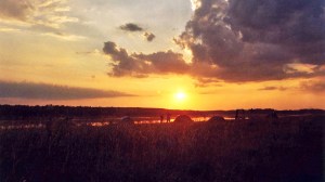 one of the last days in the Danube Delta