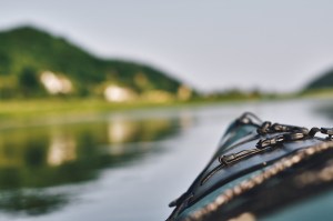 our faithful companion on the Elbe