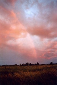 somewhere on the trail