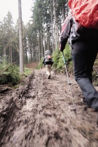 the path through mud