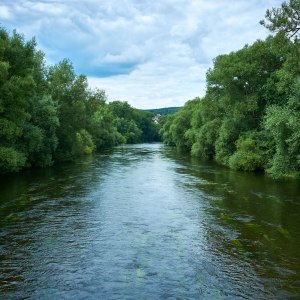 impressions of the river