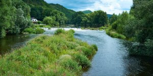 impressions of the river