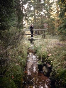 Harz Witches’ Trail taking a break along the trail