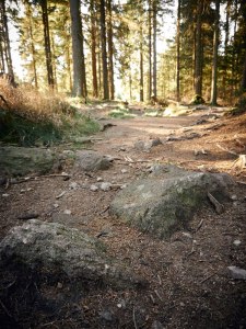 Harz Witches’ Trail natural trails with rocks