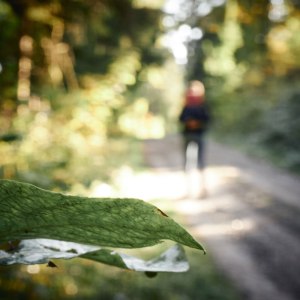 Harz Witches’ Trail just some impressions along the way