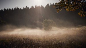 Harz Witches’ Trail autumn at its best