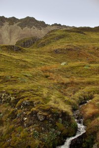 Nelson Lakes National Park Speargrass Creek Route