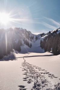 where we came from ©Christian Hein