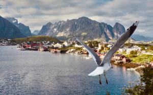 Reine ©Christian Hein