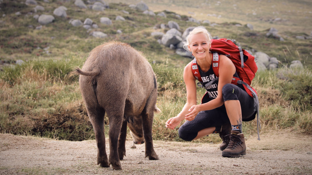 surprising encounter