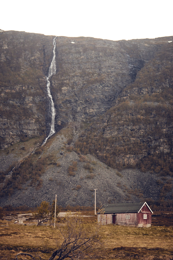pure nature ©Christian Hein